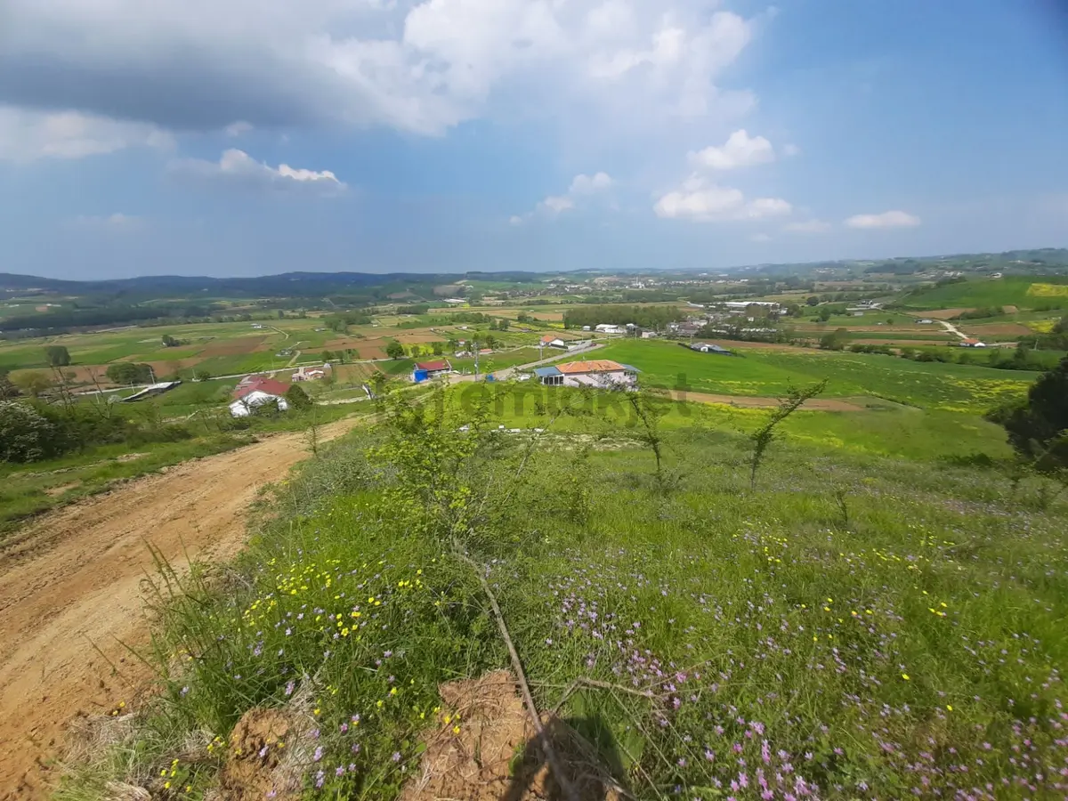 Körfez Himmetli Satılık 4324m2 Arsa %5 İmarlı *villa Yapılabilir - 22