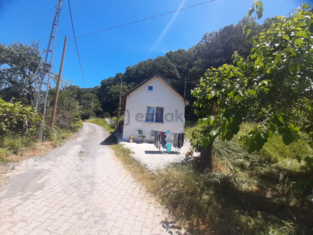 Şile İmrenli'de Kiralık 1+1 Müstakil Ev (eşyalı) - 19