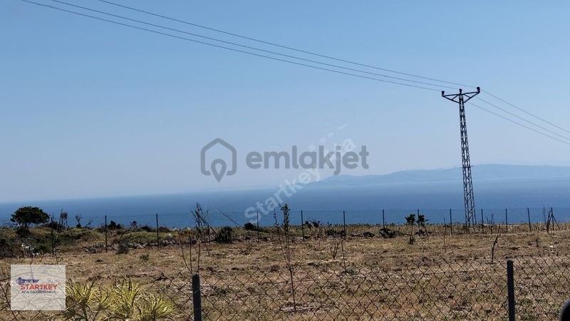 Karaburun Bozköy Alanbağ'nda Satılık Tarla - 17