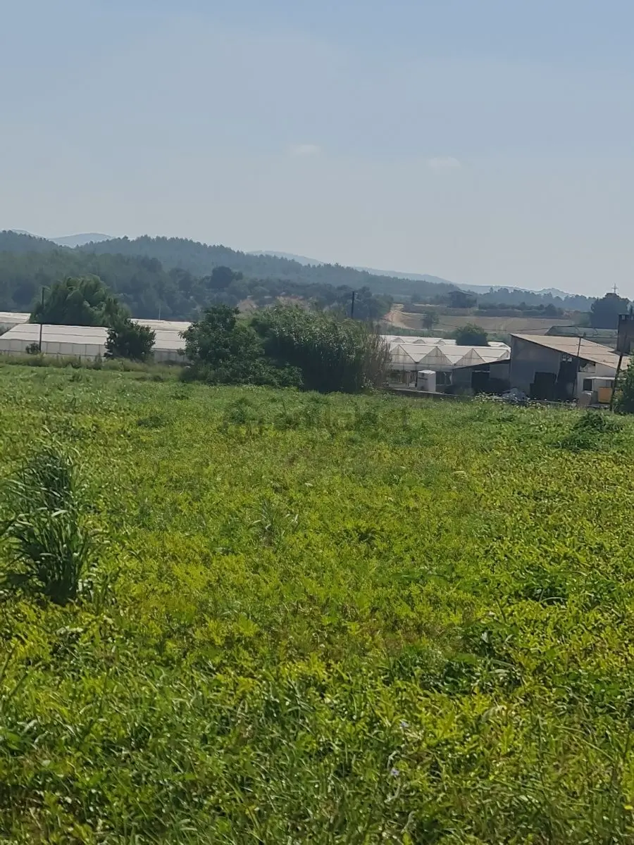 Satılık Tarla - 4