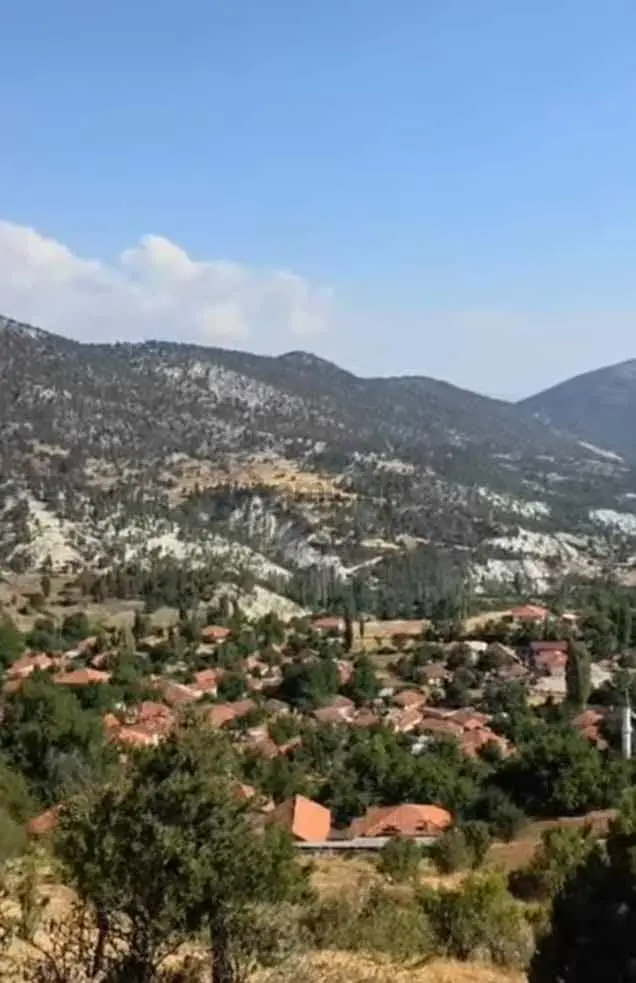 Çameli Çiğdemli'de Satılık Tarla - 5