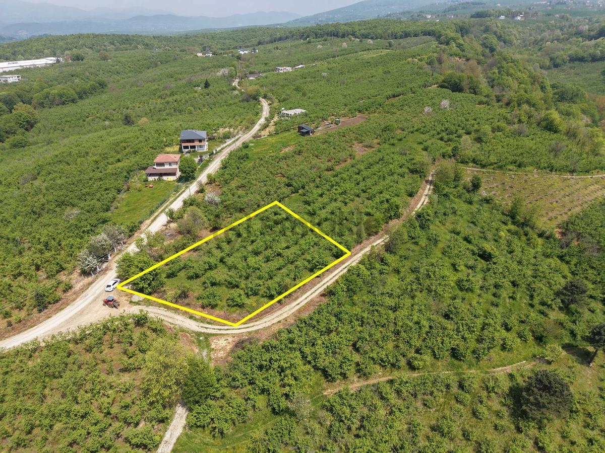 Emlakevim Den Hendek Gündoğan Mh Satılık 1000 M2 Arsa - 4
