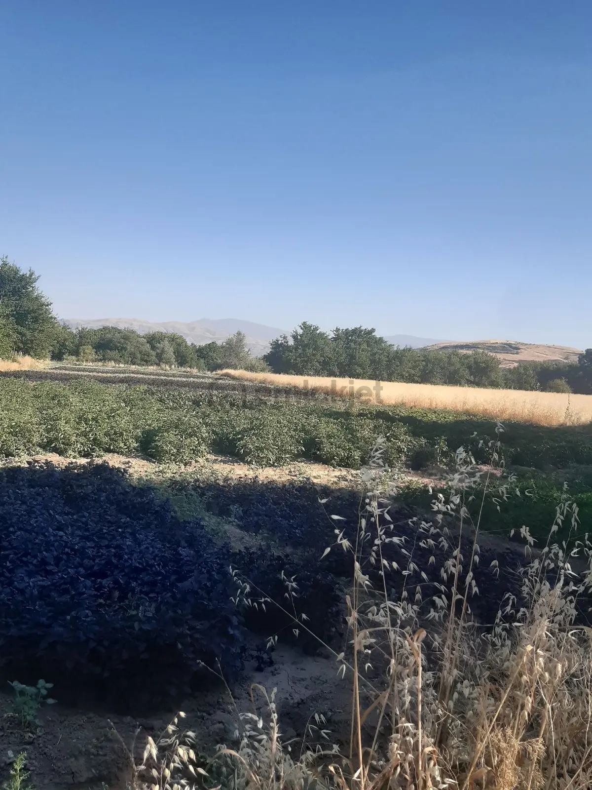 Sahibinden Kesrıkte Tek Tapu 5 Kat İmarlı Arsa - 14