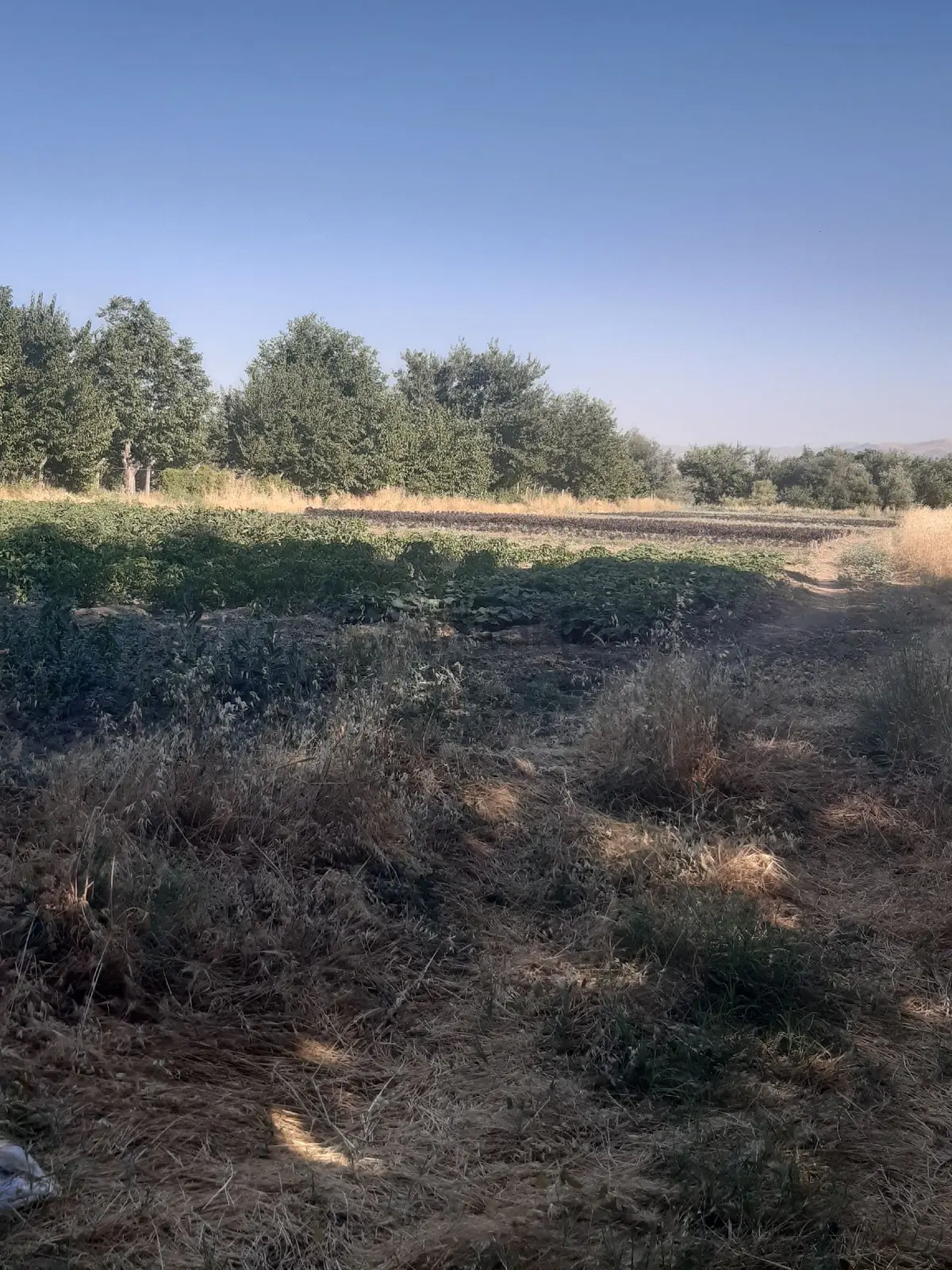 Sahibinden Kesrıkte Tek Tapu 5 Kat İmarlı Arsa - 13