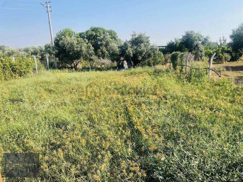 İncirliova Sınırteke'de Satılık Hobi Bahçesi - 32