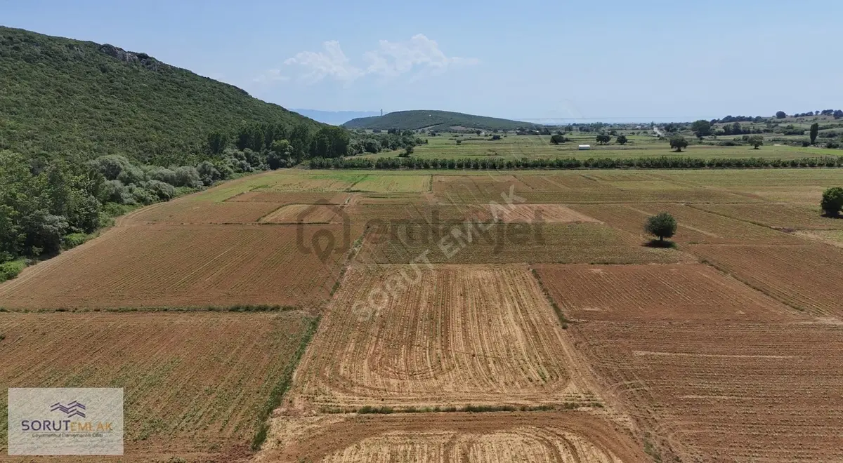 Mecidiye'de Geleceğe Yatırım 1.352 M² Satılık Tarla - 3