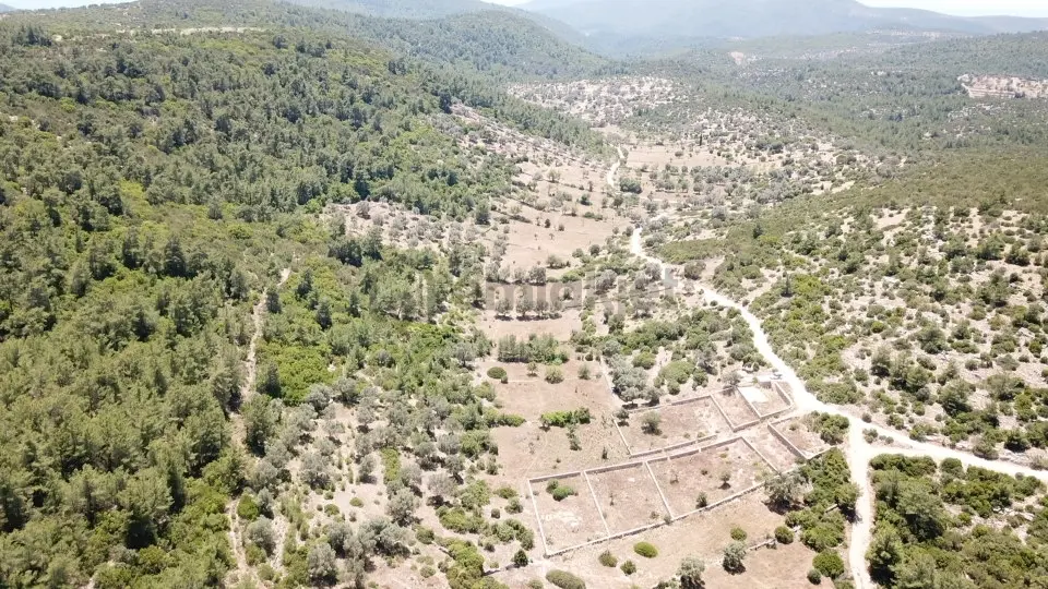 Yalıçiftlik'te Satılık 2.500 M2 Tarla - 2