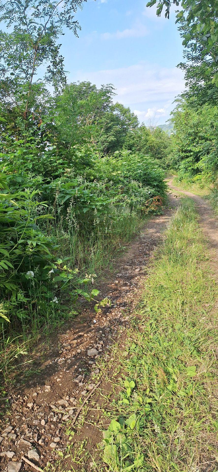 Akçaabat Uğurlu'da Satılık 4000 M² Doğa Manzaralı Tarla - 6