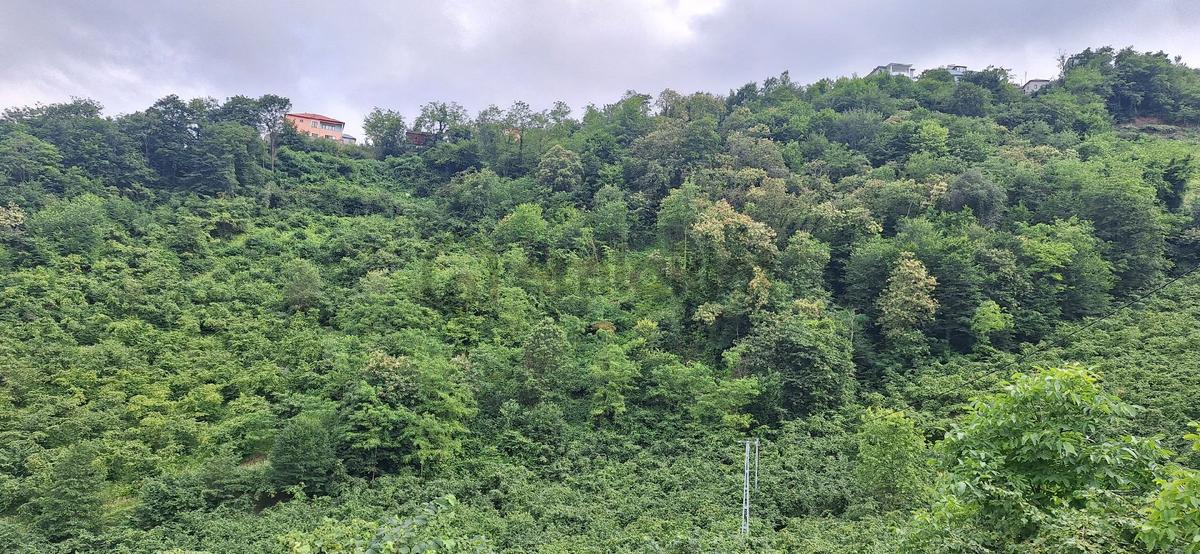 Akçaabat Uğurlu'da Satılık 4000 M² Doğa Manzaralı Tarla - 19