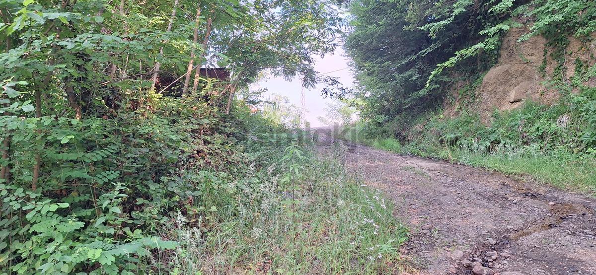 Akçaabat Uğurlu'da Satılık 4000 M² Doğa Manzaralı Tarla - 2