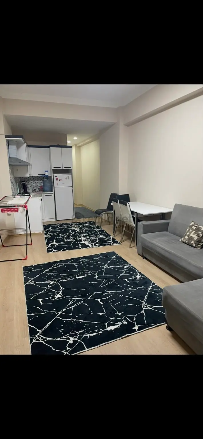 Sahibinden Sahibinden Satılık Ödemiş Merkezde 17 Bin Hazır Kiracılı Full Eşyalı 1+1 Daire - 12