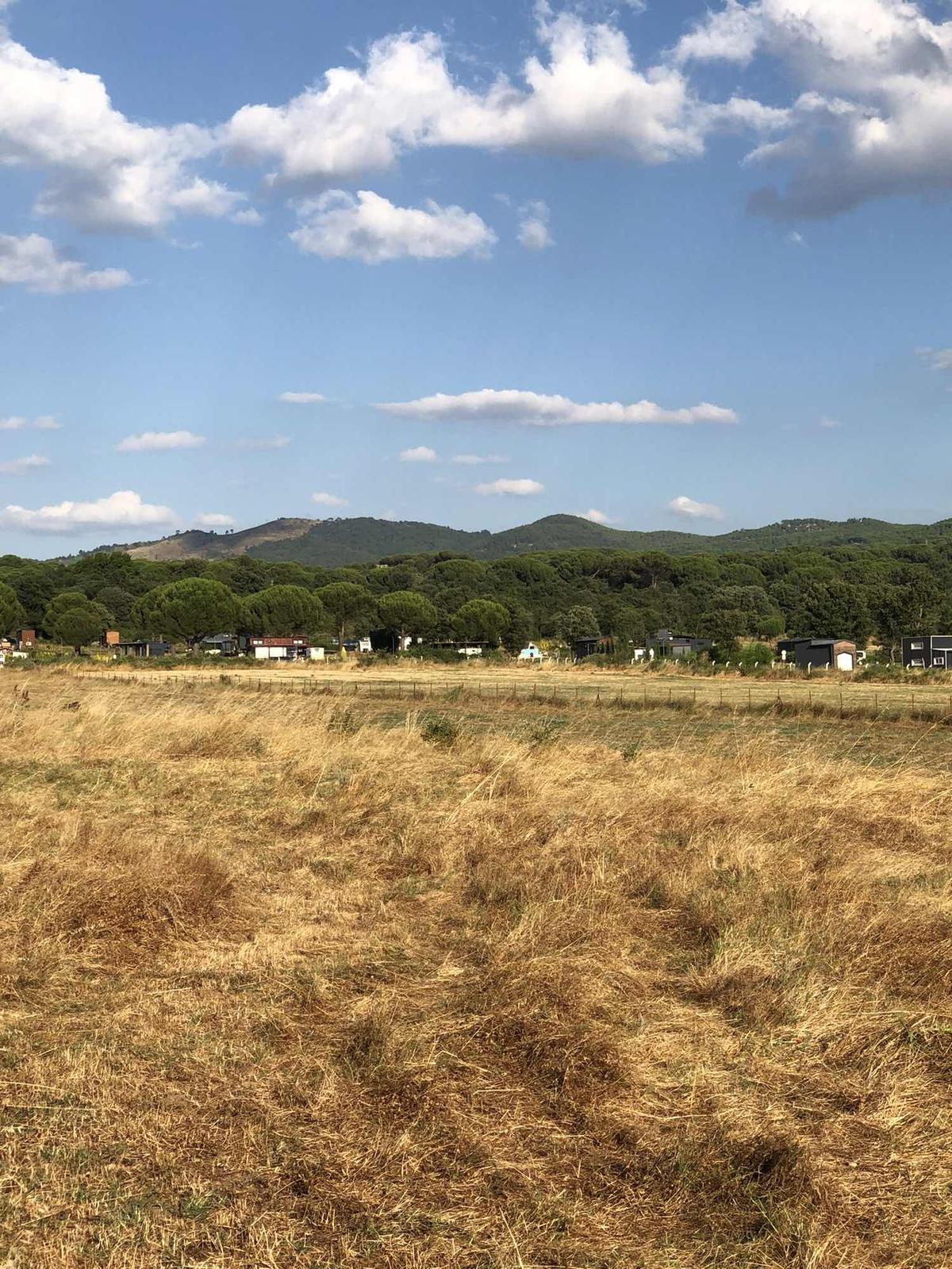 Bergama Kozak Yukarıbey Mah Satılık Tarla - 22