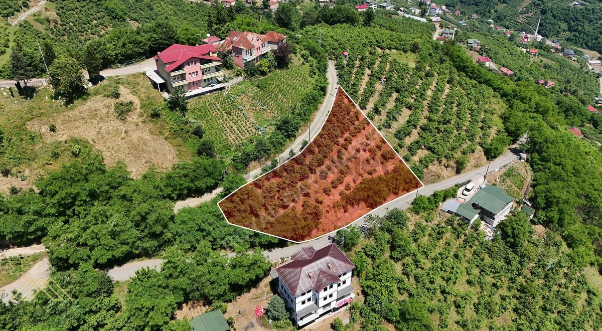 Royal'den Doğançay Da Satılık 1.000m2 Arsa - 2