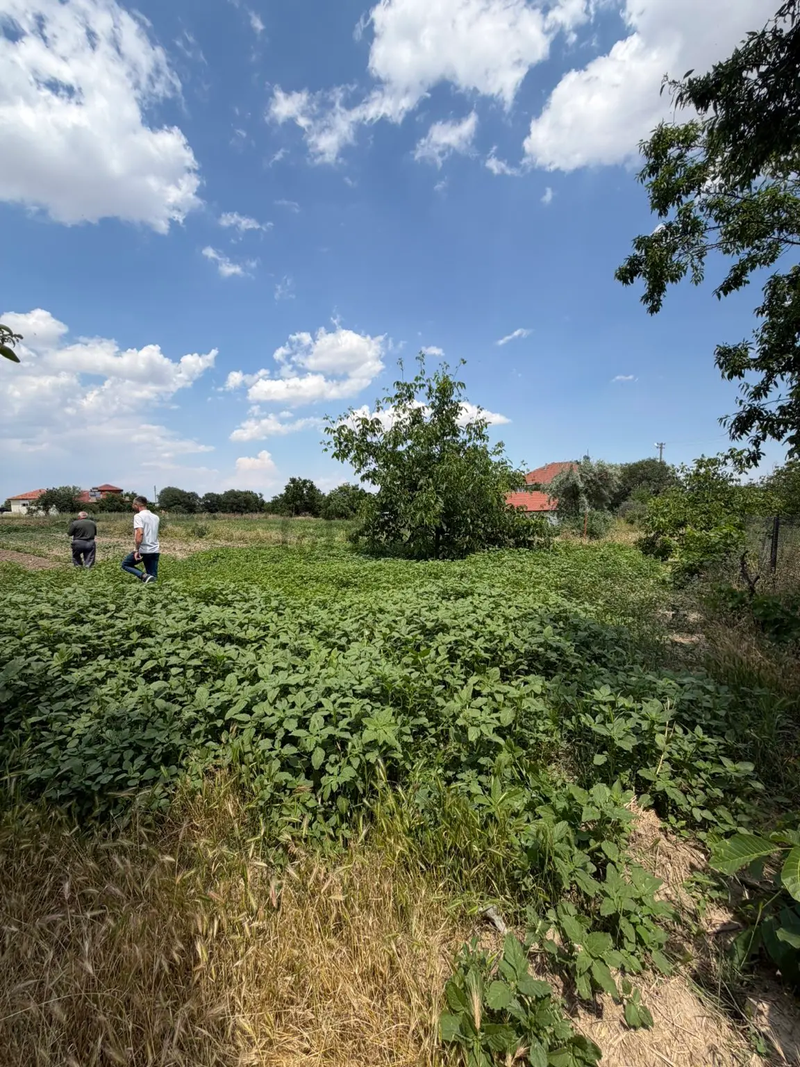 Korkuteli Akyar Mahallesi 226 Ada 5 Parsel - 8