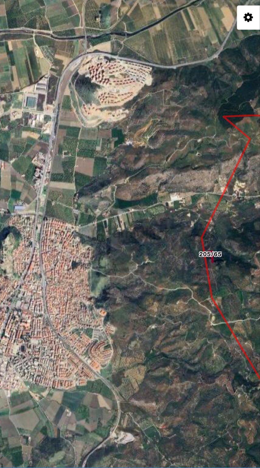 Şirince'de Satılık 4120 M2 Zeytinlik - 3