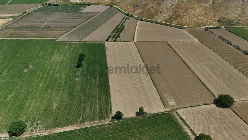 Pek Emlaktan Mahmutlarda 9,700 M2 Çok Verimli Satılık Tarla - 21
