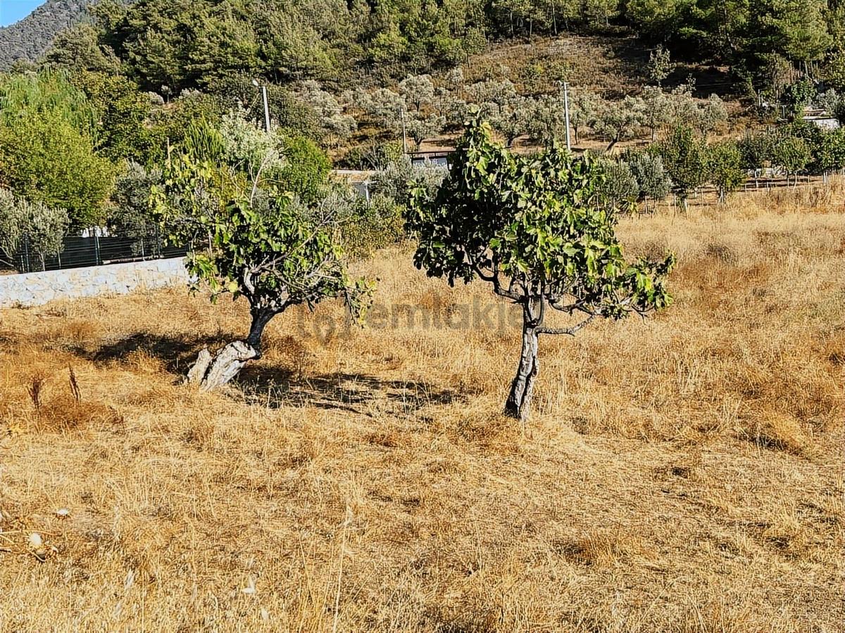 Ev Yap! Hemen Başla! Köy İçi İmarlı 2.691 M2 Arsa! - 11
