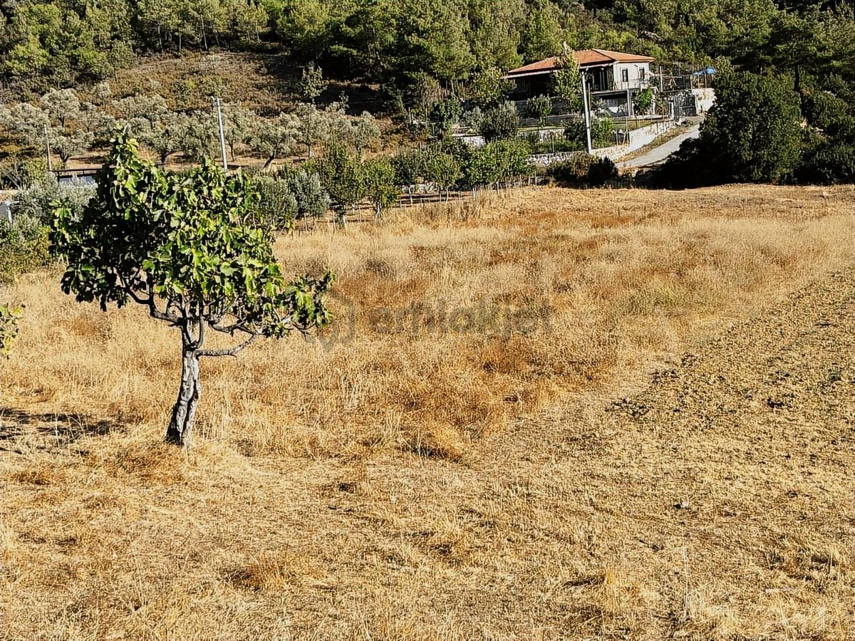 Ev Yap! Hemen Başla! Köy İçi İmarlı 2.691 M2 Arsa! - 8