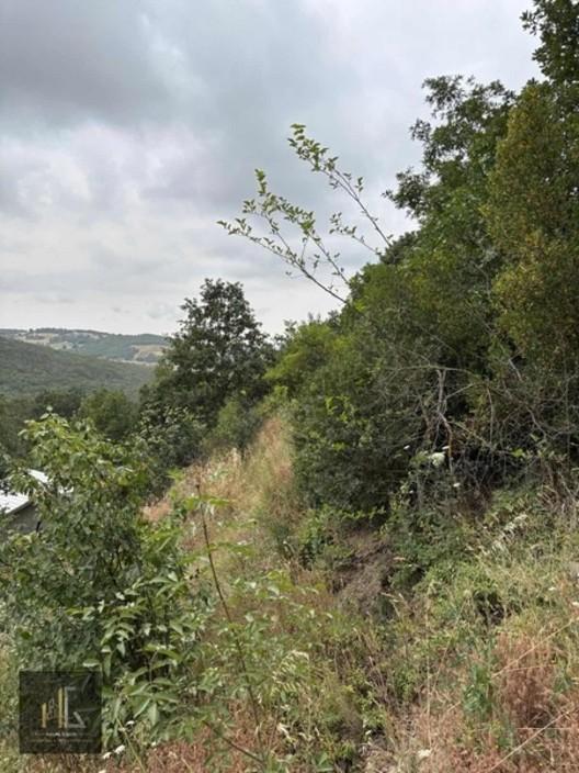 Güngören Bağlar'da Satılık Tek Tapu 673m2 Arazi! - 14