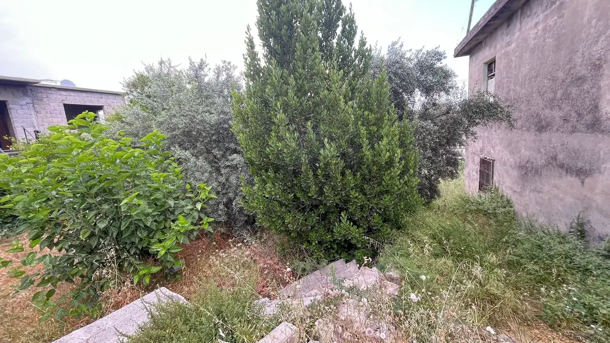 Arve'den Çavuşlu'da 281m² Arsa İçerisinde Müstakil Ev - 3