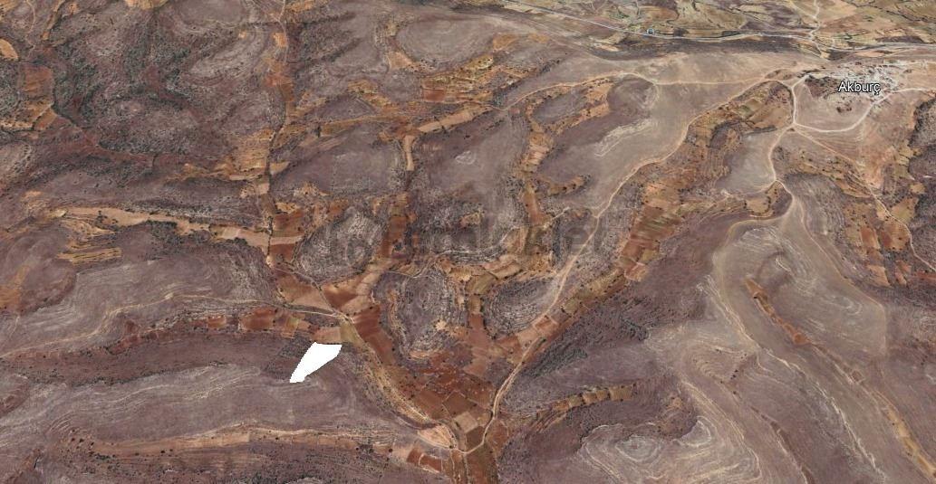Satılık Bakımsız Bağ Tek Tapu Yolu Var - 9