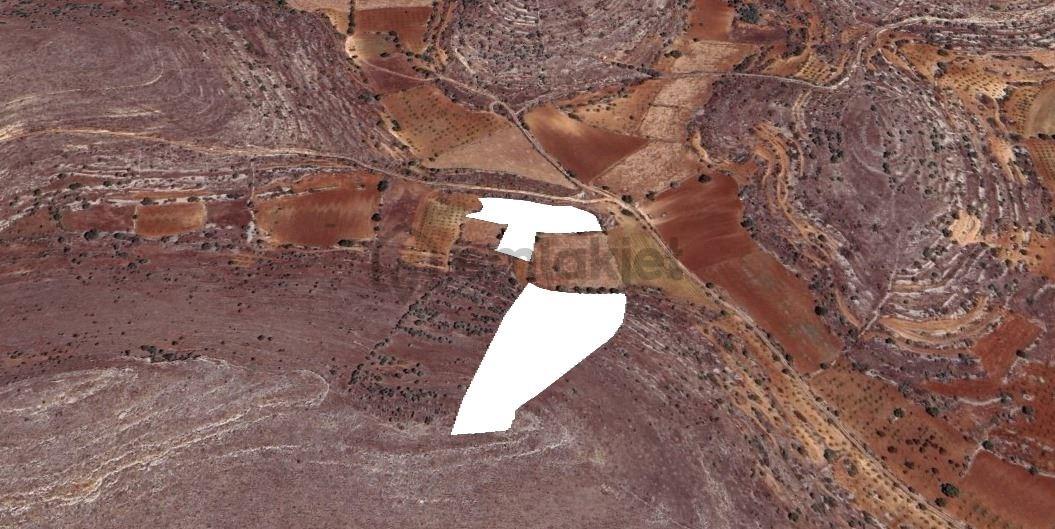 Satılık 2 Tane Bağ 12149 Metrekare - 3