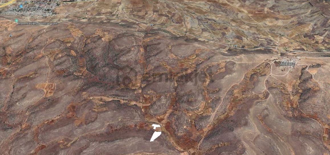 Satılık 2 Tane Bağ 12149 Metrekare - 7