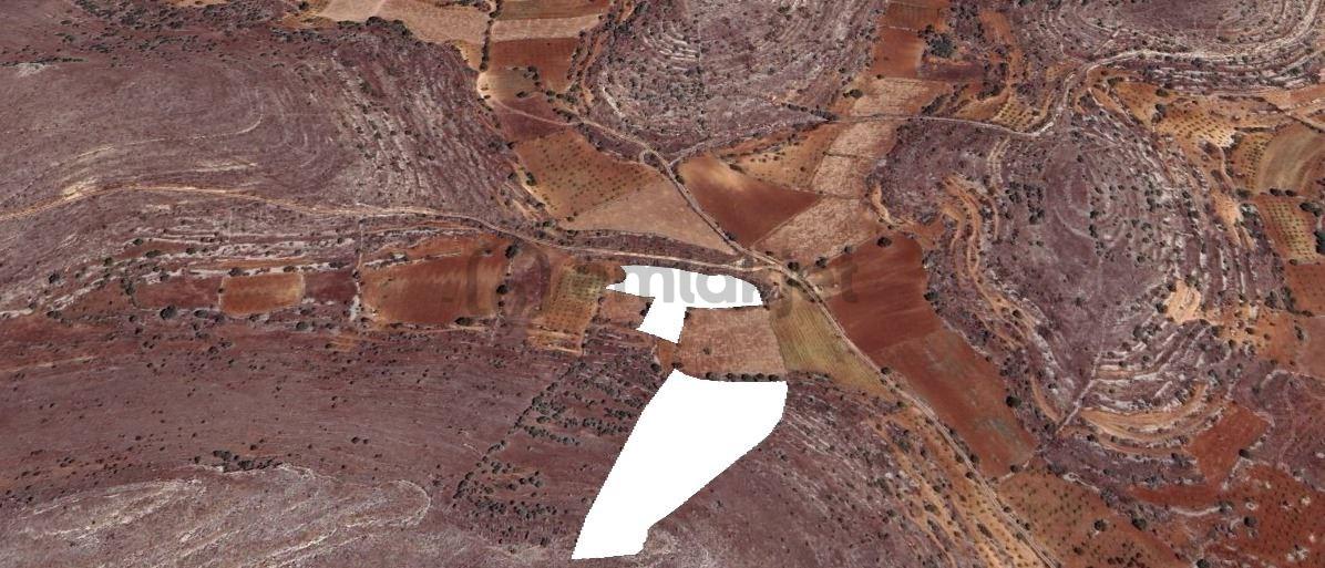 Satılık 2 Tane Bağ 12149 Metrekare - 4