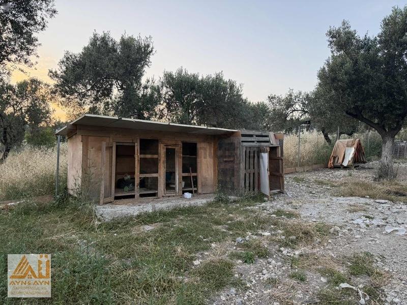 Aliağa Helvacı Fırsaf Satılık Ev & Bahçe - 31