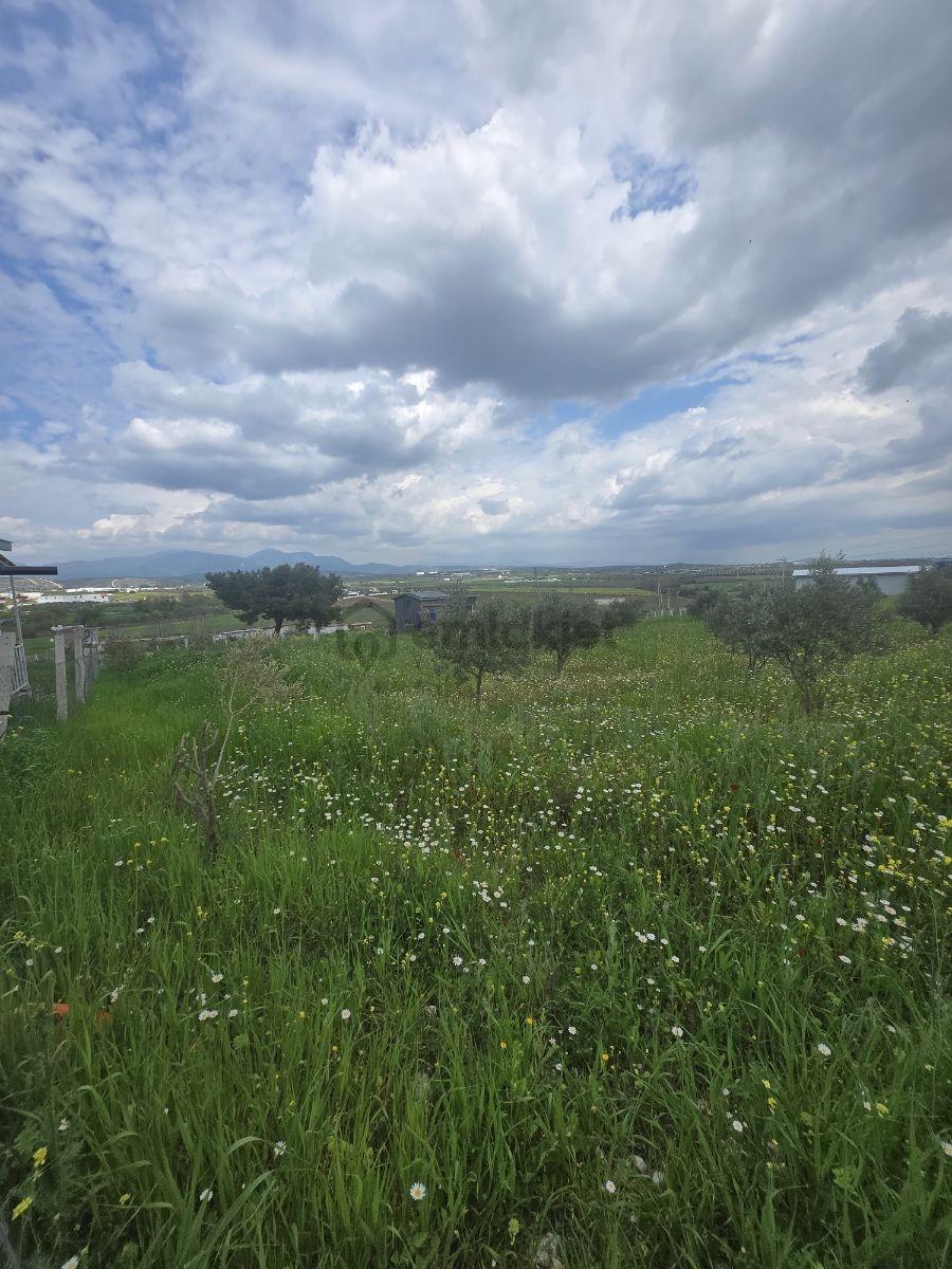 Menderes Oğlananasın Da Merkeze Yakın 398m2 Tarla - 9