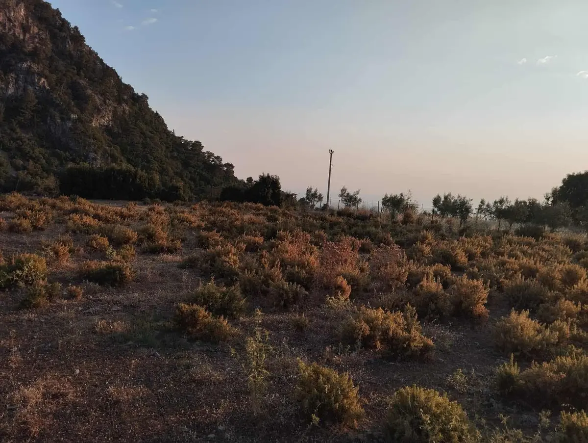Fethiye Faralya'da Deniz Manzaralı Satılık Arazi - 4