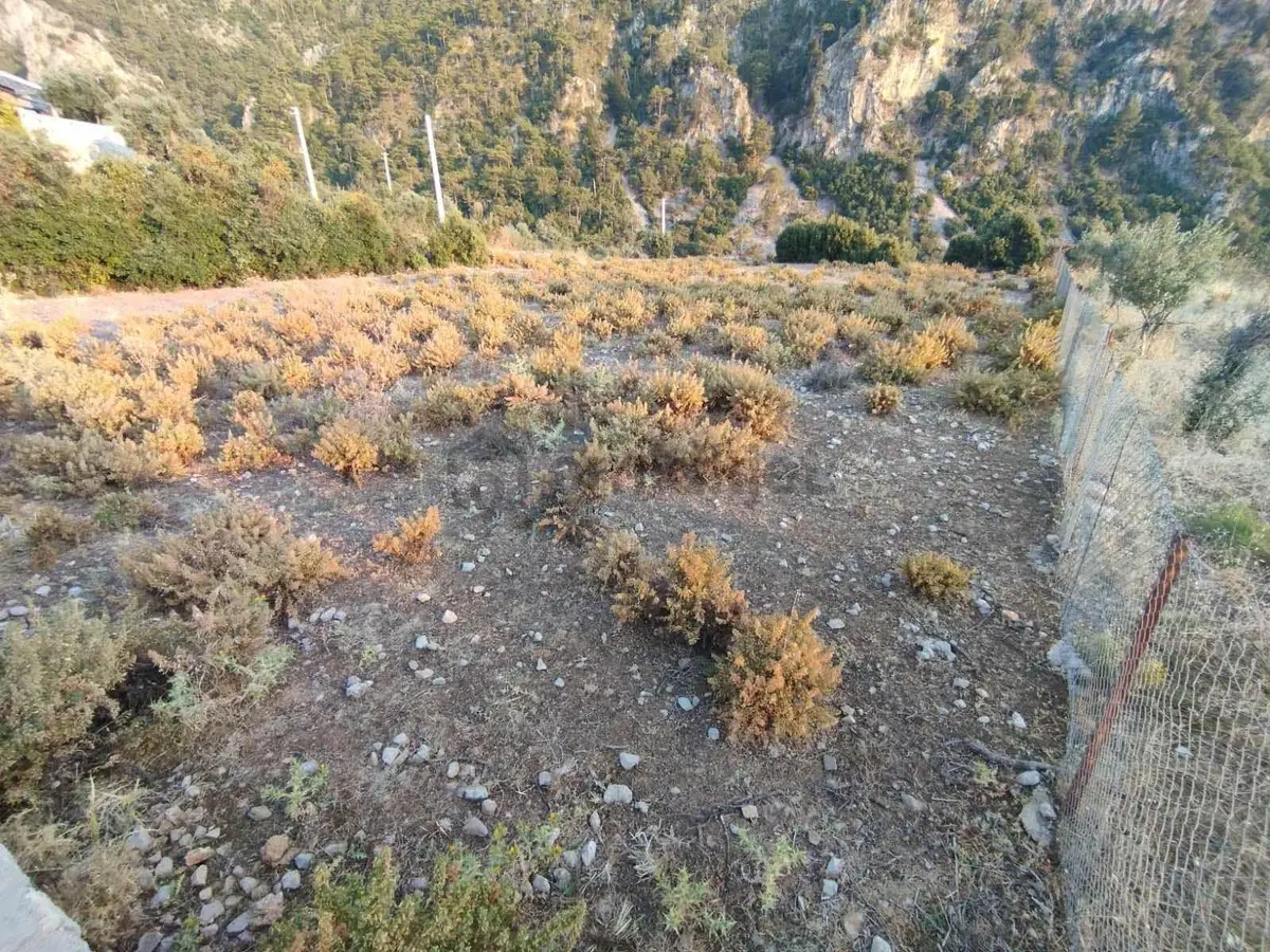 Fethiye Faralya'da Deniz Manzaralı Satılık Arazi - 3