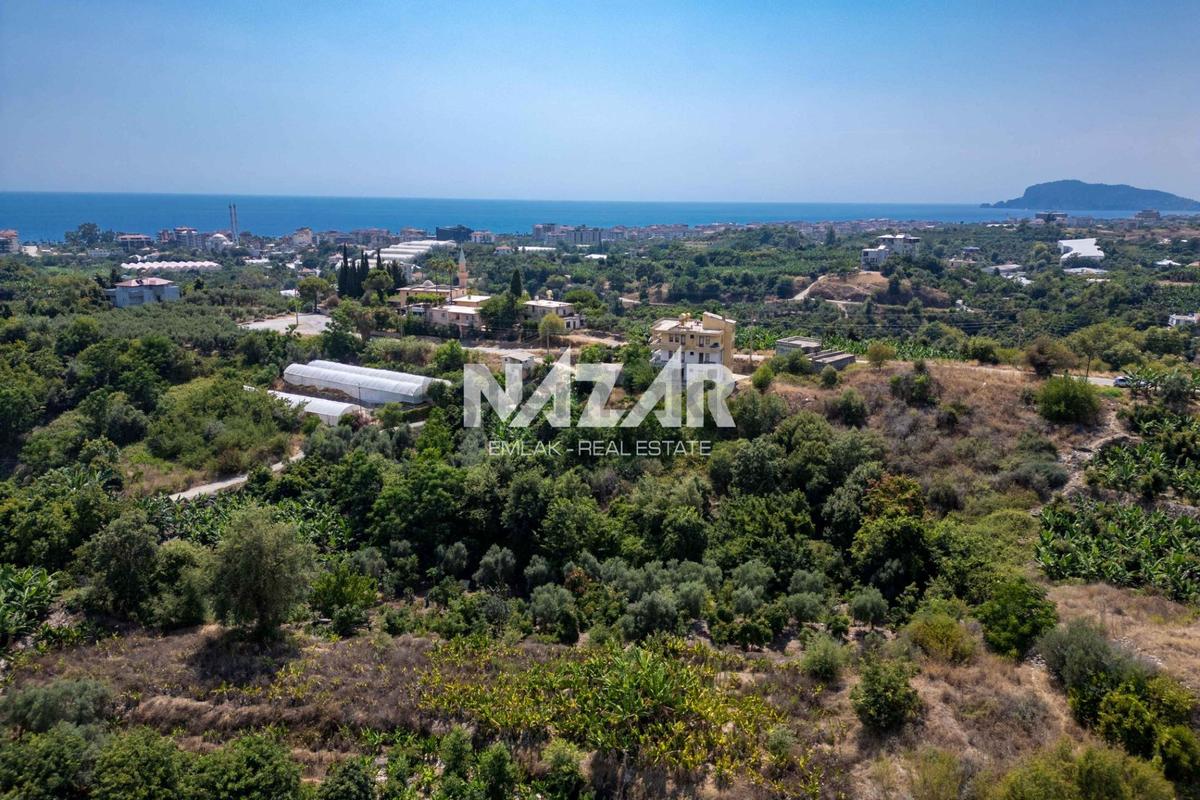 Alanya Kestel’de 1.309 M² Satılık Tarla / Bahçe - 7