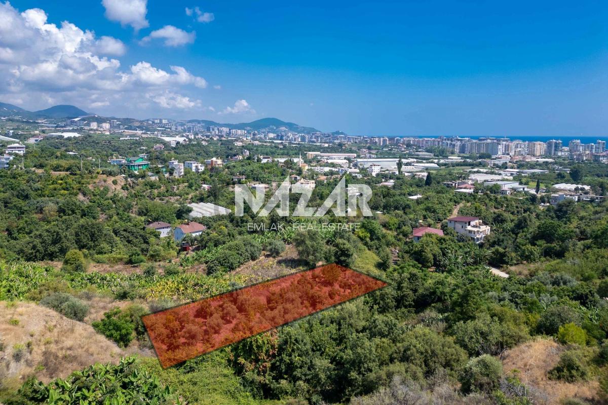 Alanya Kestel’de 1.309 M² Satılık Tarla / Bahçe - 5