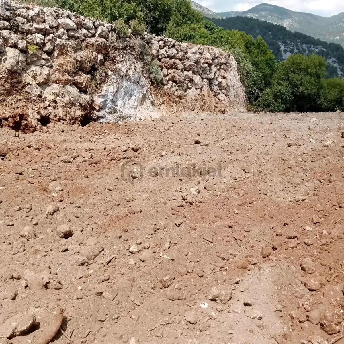 645 M² Köy Yerleşim Alanı İçinde Yerimiz - 3