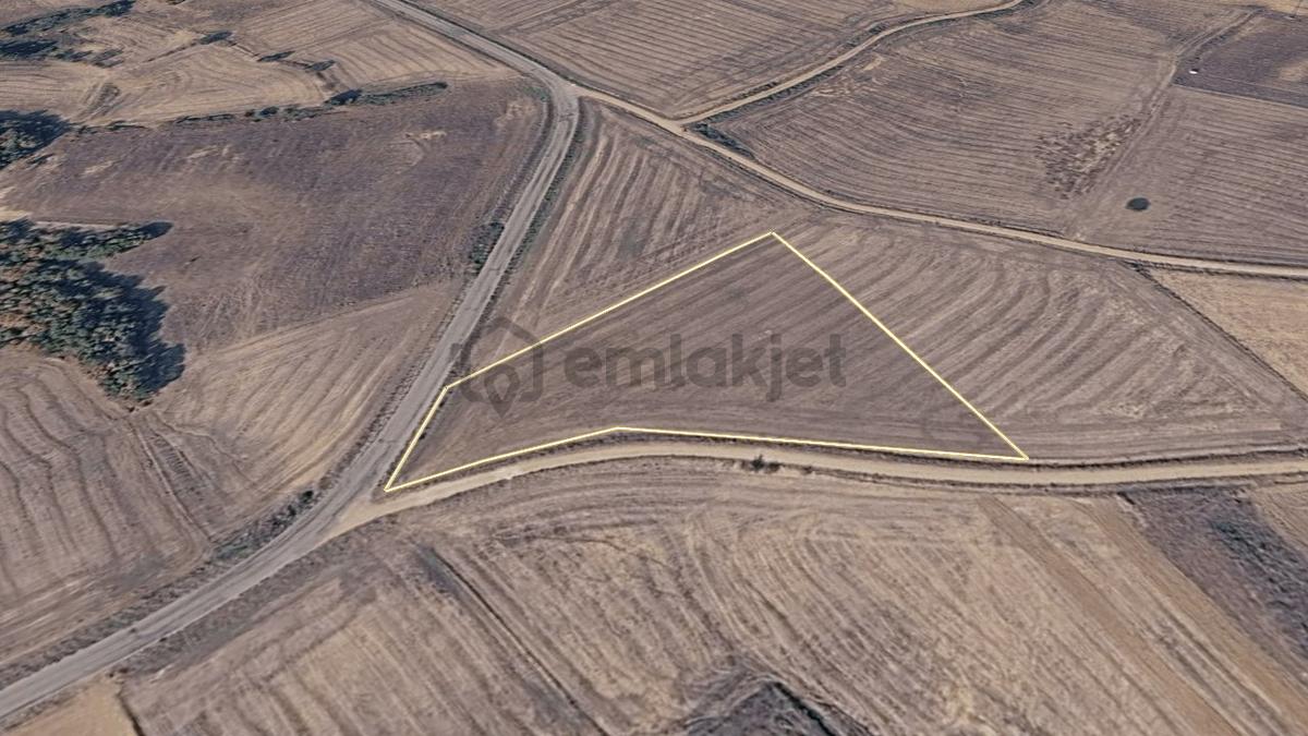 Edirne Meriç Rahmanca Köyü Satılık Tarla 5.363 M² - 14