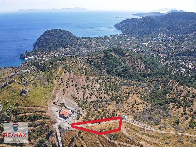Datça Mesudiye'de Deniz Manzaralı Fırsat Tarla - 31
