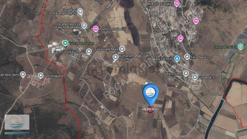 Foça Merkeze 9 Km Ev Yapım Ruhsatlı 6.108 M2 Meyve Bahçesi - 19