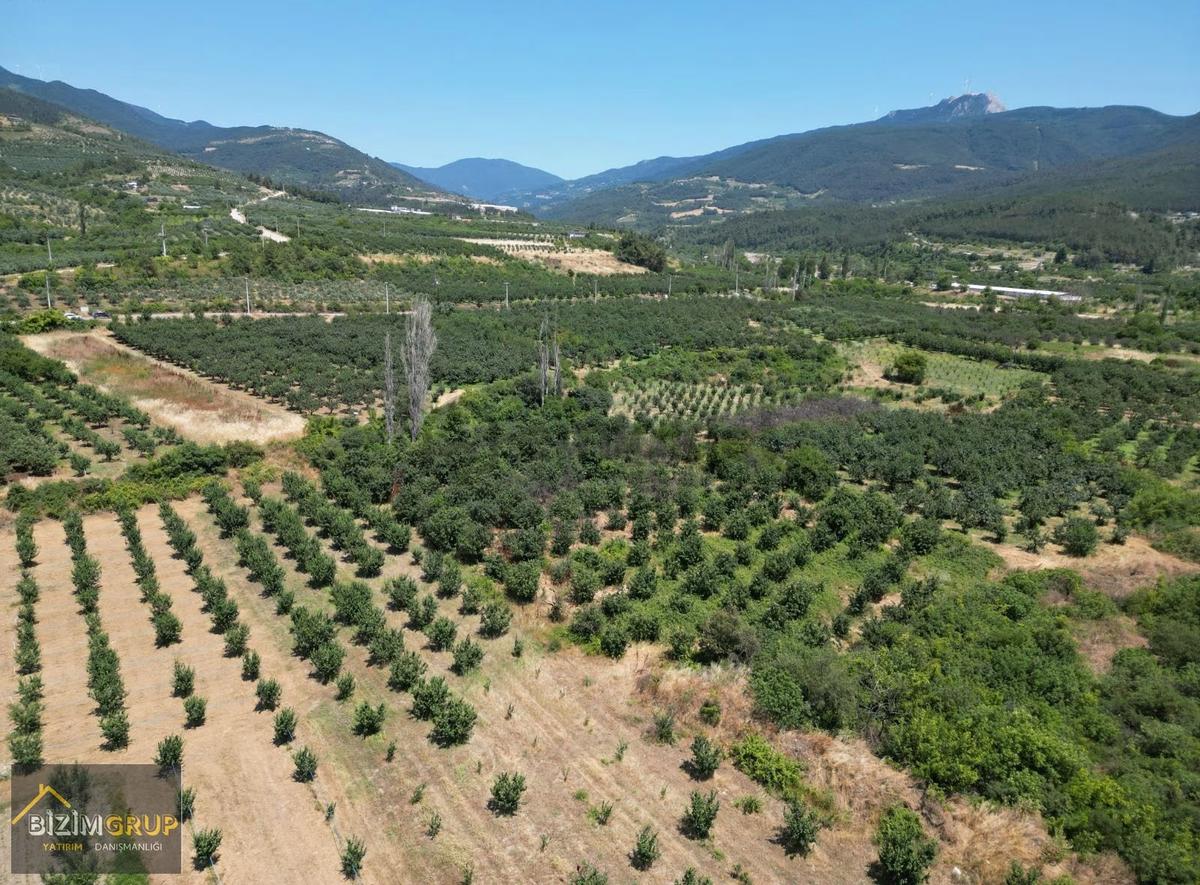 5.500m2 Meyva Bahçesi - 8