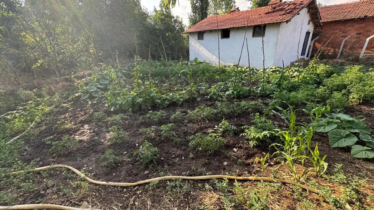 Balıkesir Kepsut Bükdere Mahallesinde Arsa - 3