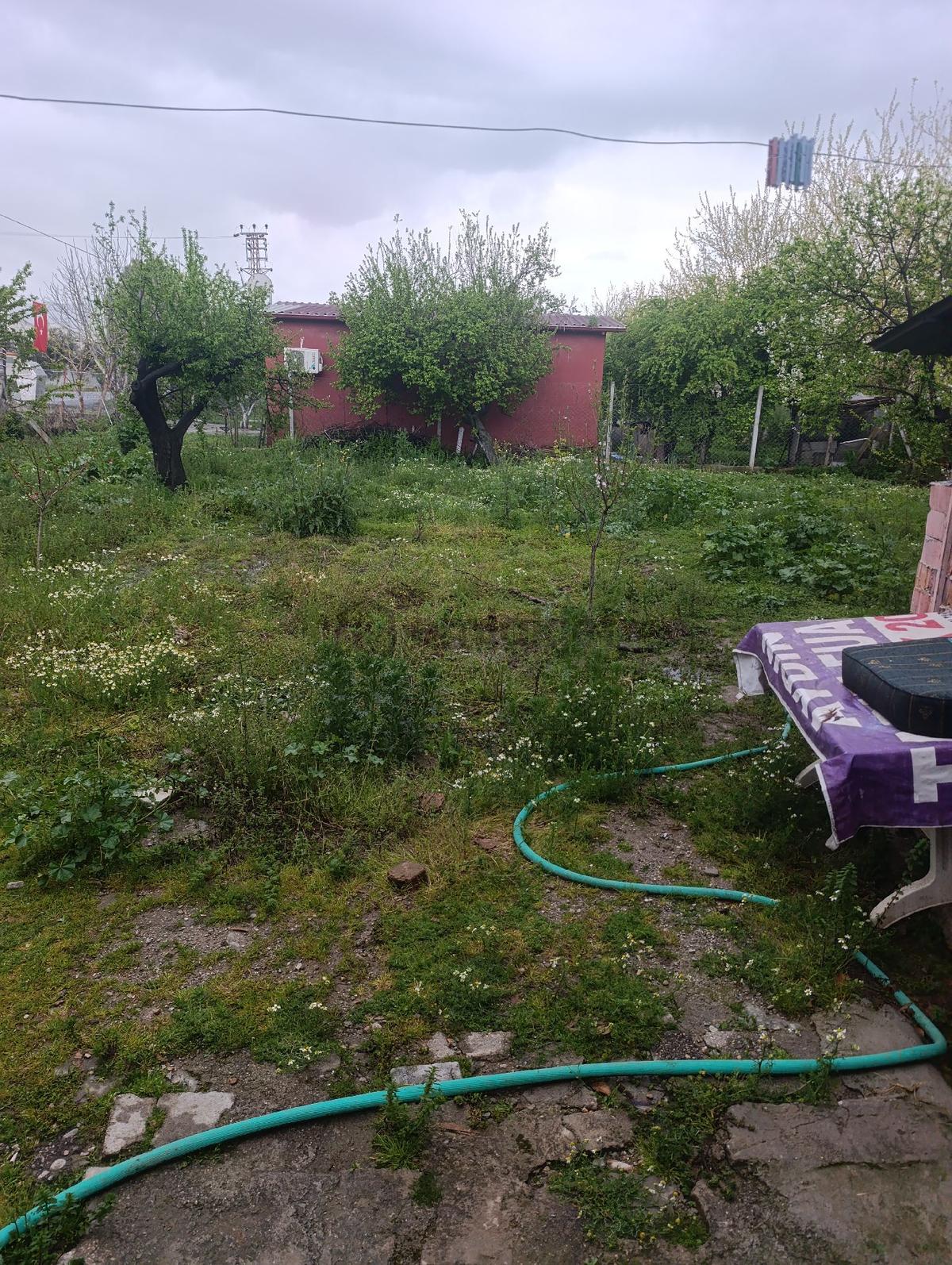 Kiralık Müstakil Ev