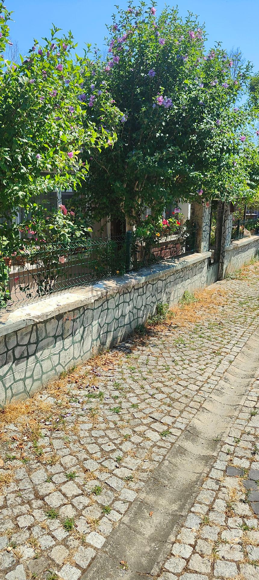 Sahibinden Satılık Kâgir Bahçeli Ev - 3