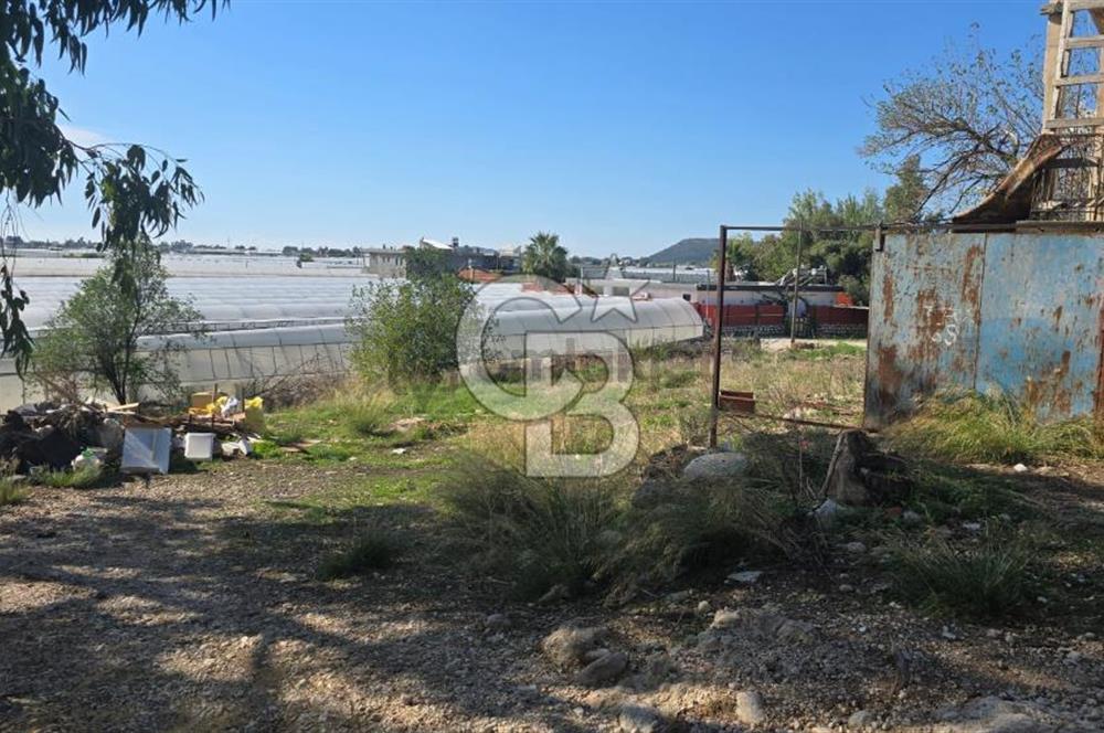 Antalya Kaş Kınık Mah. Satılık Tarla - 10
