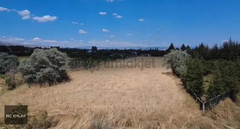 Mç Emlak'tan İymır Mh 8200m2 Satılık Tarla - 3