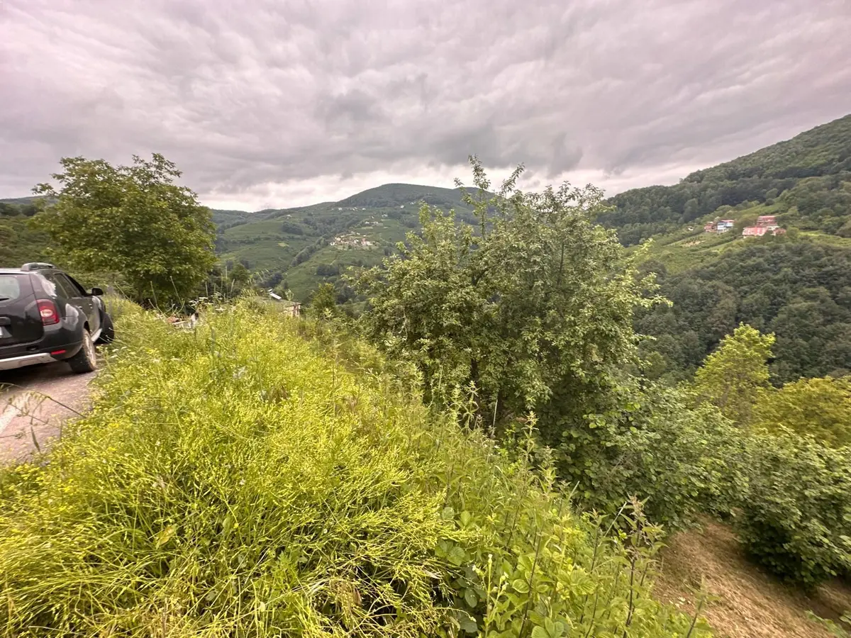 Ordu Aybastı Armutlu'da Satılık Arazi - 13