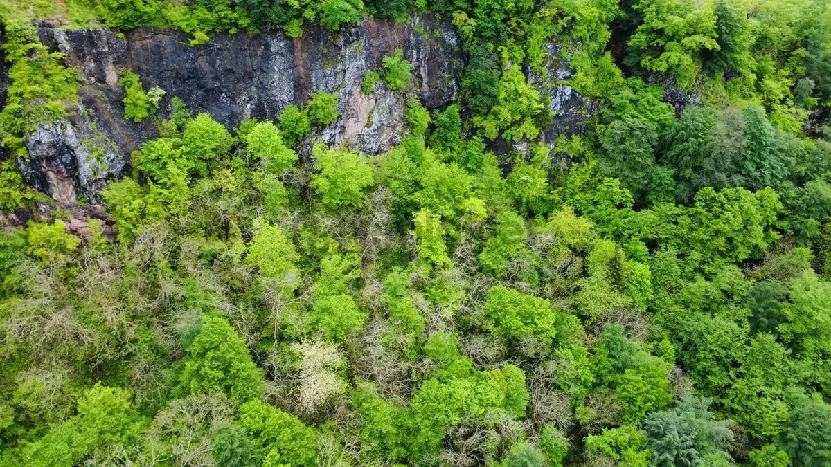 Trabzon Araklıda Satılık Arazi - 13