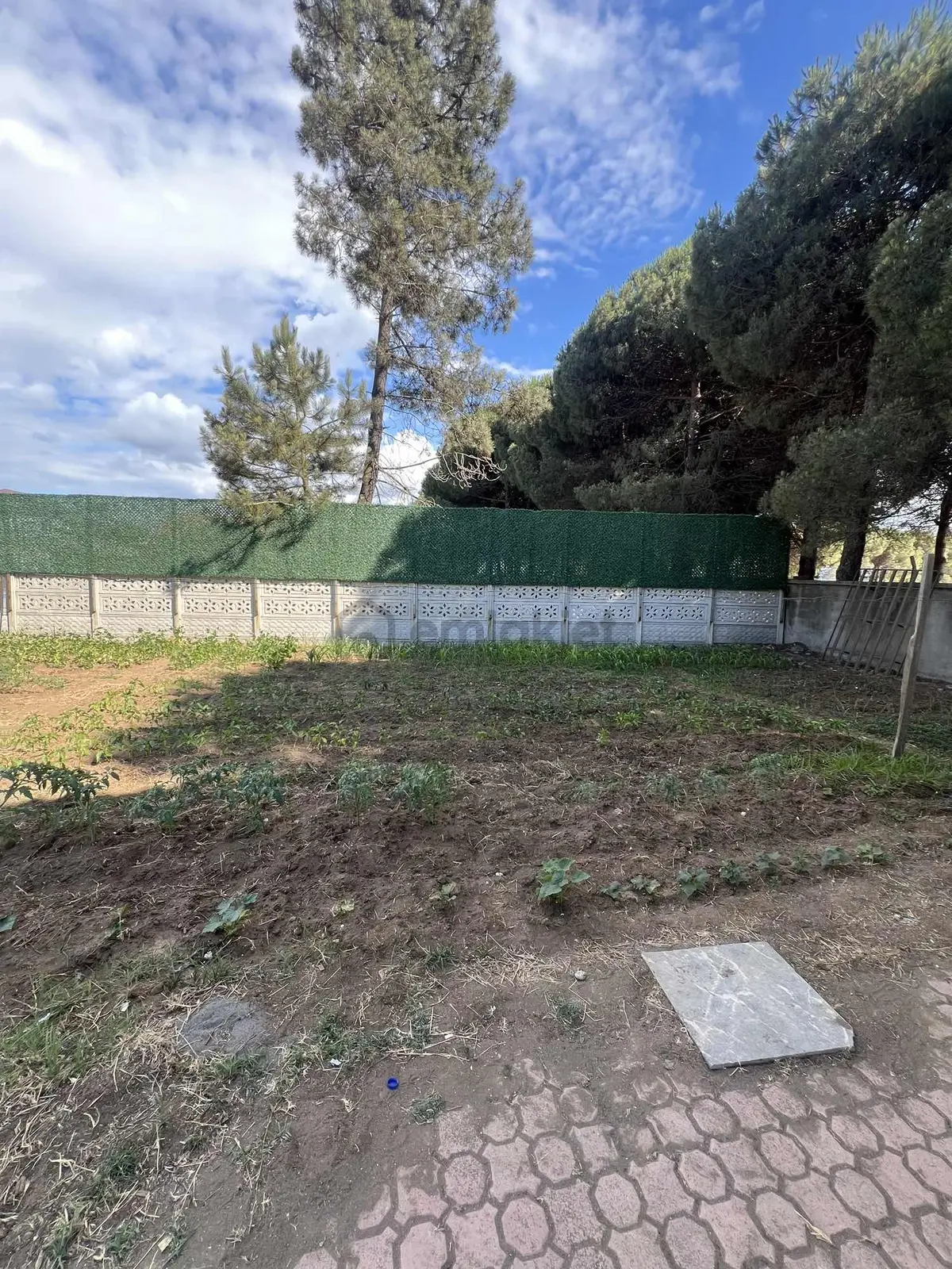 Costal Satılık Villa 2 Katlı 500m2 Arsa Alanı - 25
