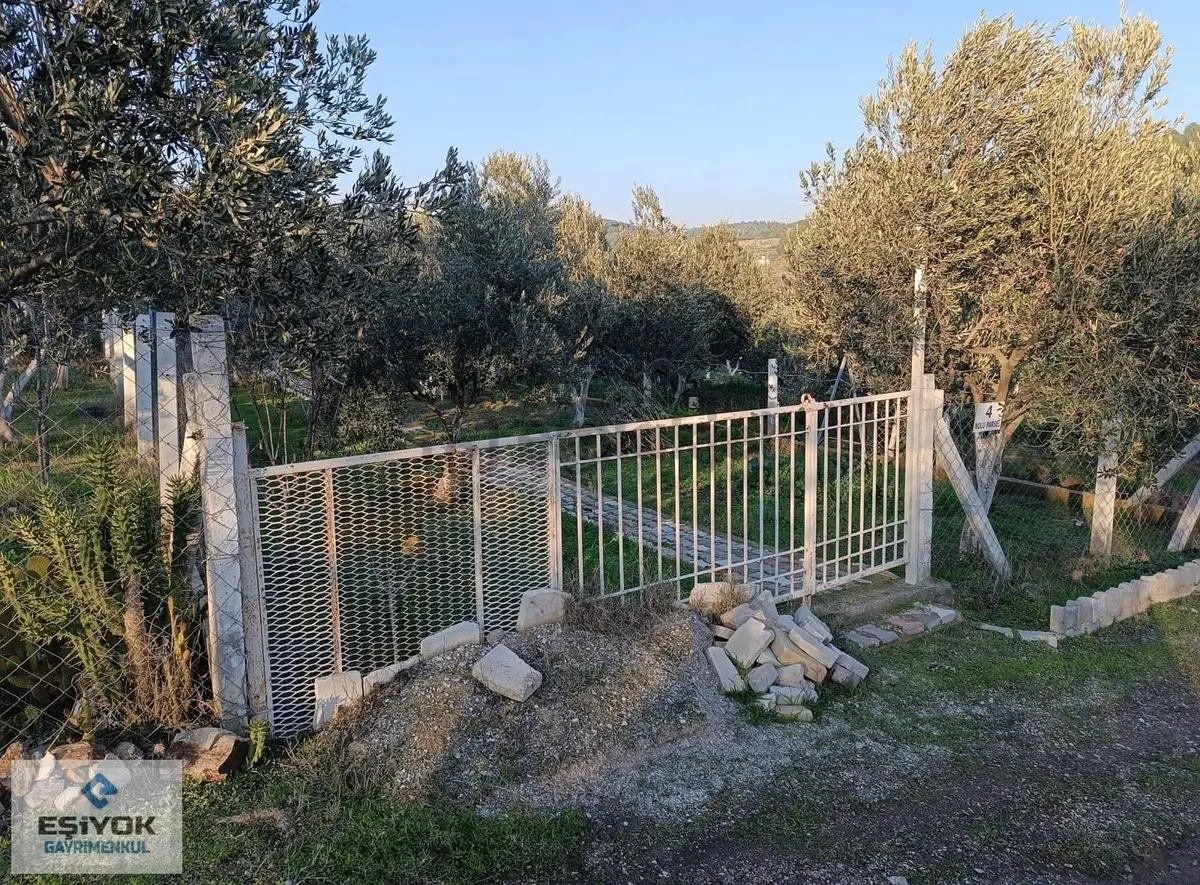 Acıl Satılık - 4