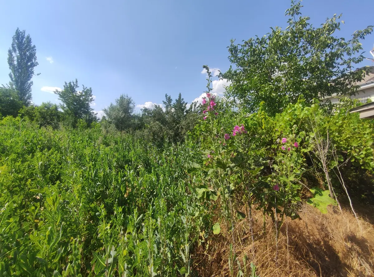 Özpınar,dan Doğalgazlı,yalıtımlı Müstakil Bahçeli Ev 385 M2 - 10