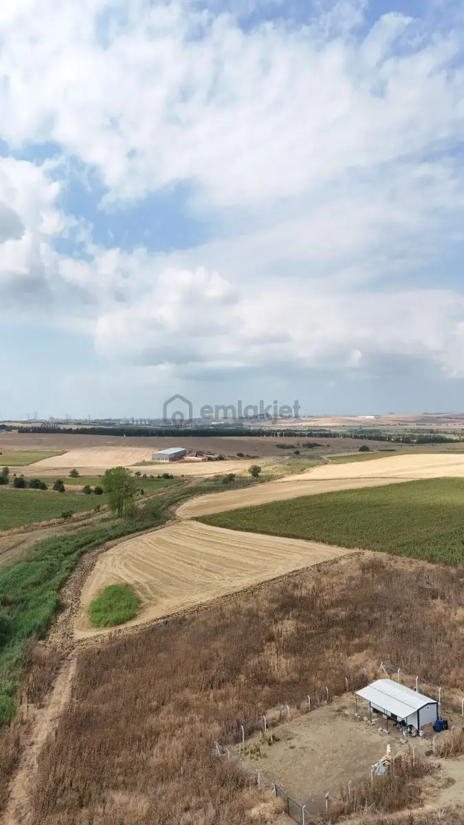 1778 M2 Tarla - 5